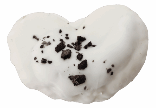 Palmera de oreo sin fondo copia