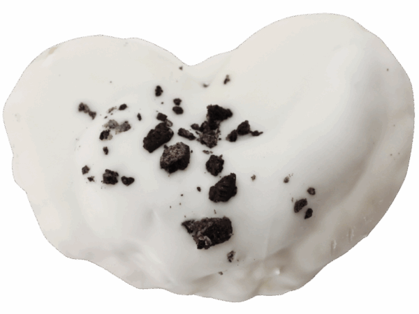 Palmera de oreo sin fondo copia