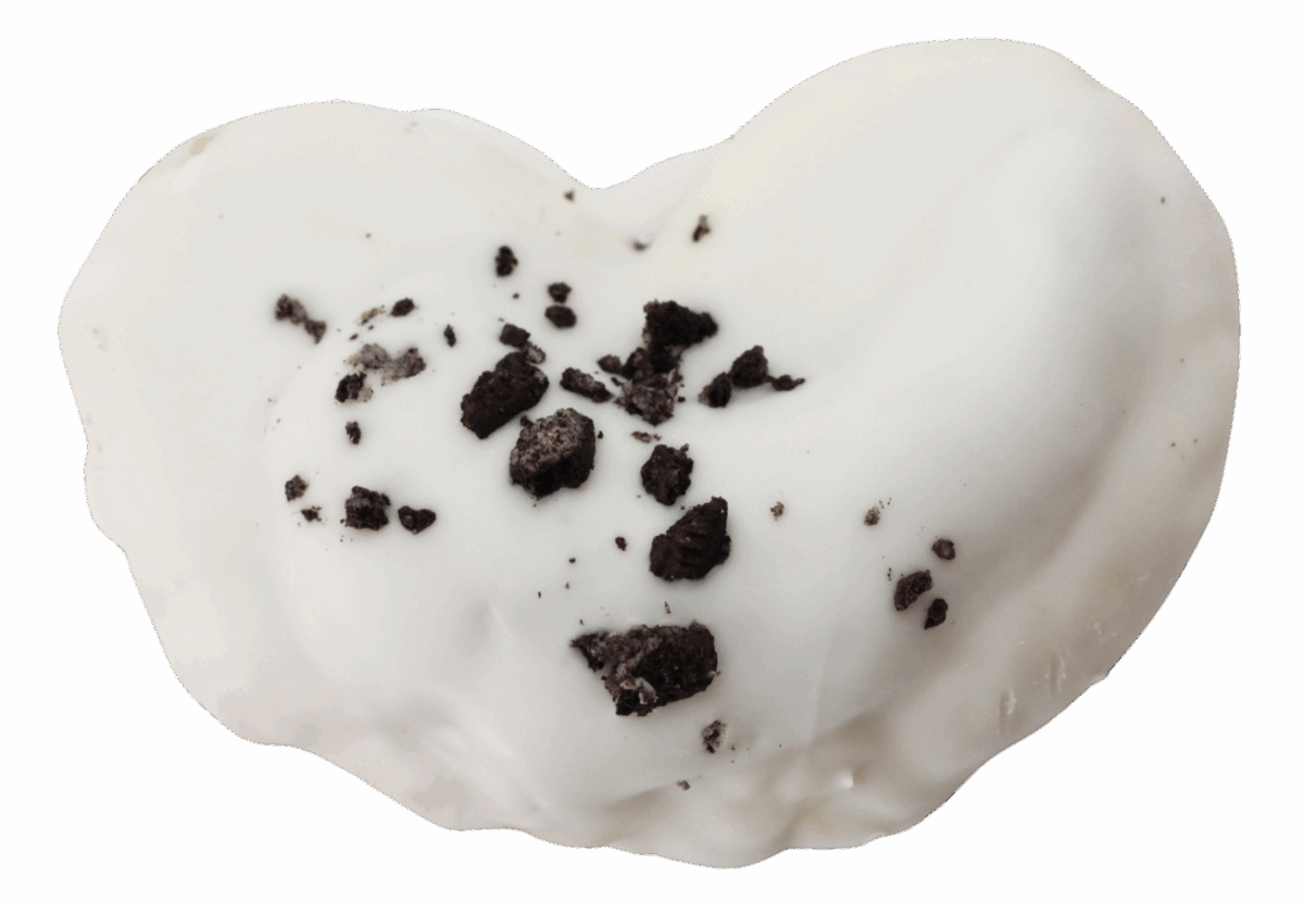 Palmera de oreo sin fondo copia