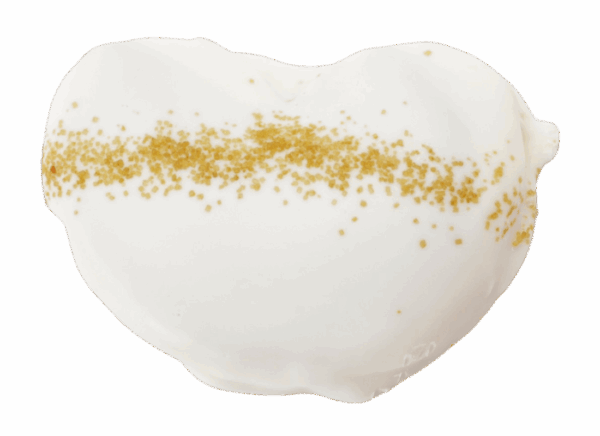 Palmera de lotus sin fondo copia