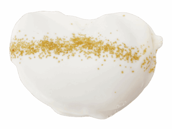 Palmera de lotus sin fondo copia