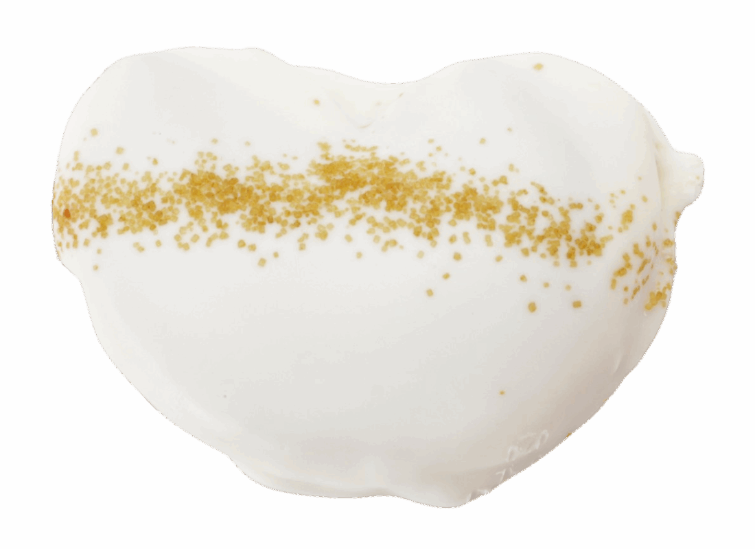 Palmera de lotus sin fondo copia