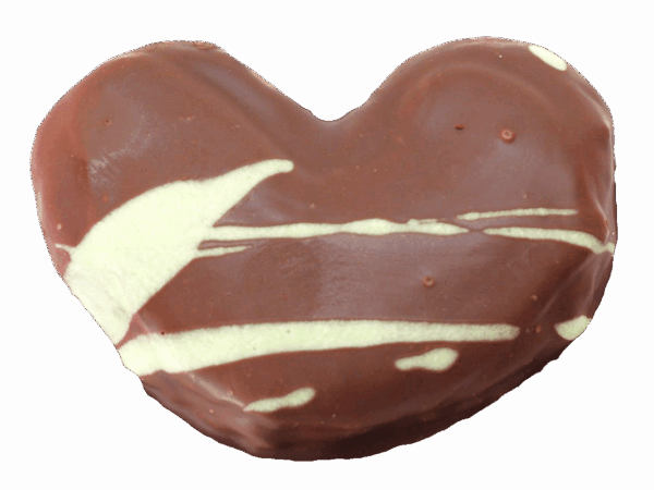 Palmera de pistacho sin fondo copia