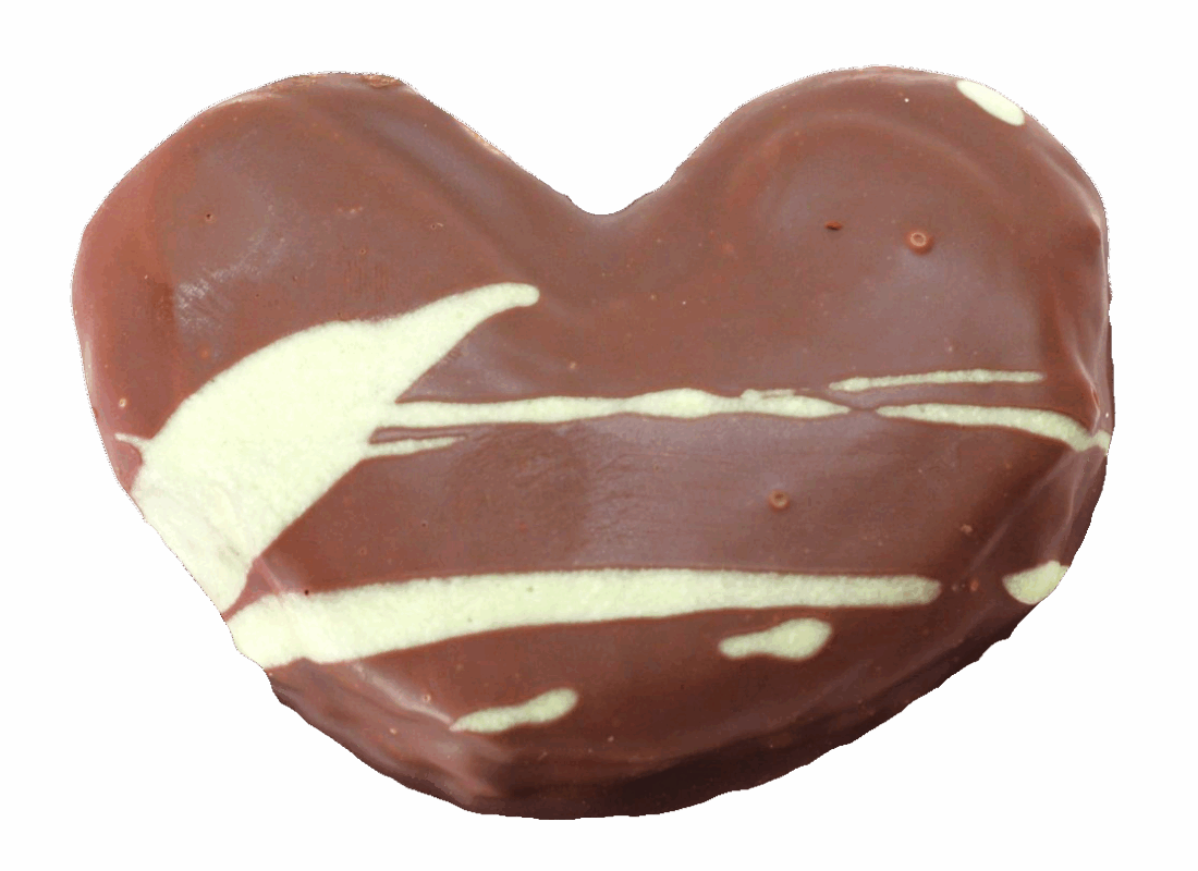 Palmera de pistacho sin fondo copia